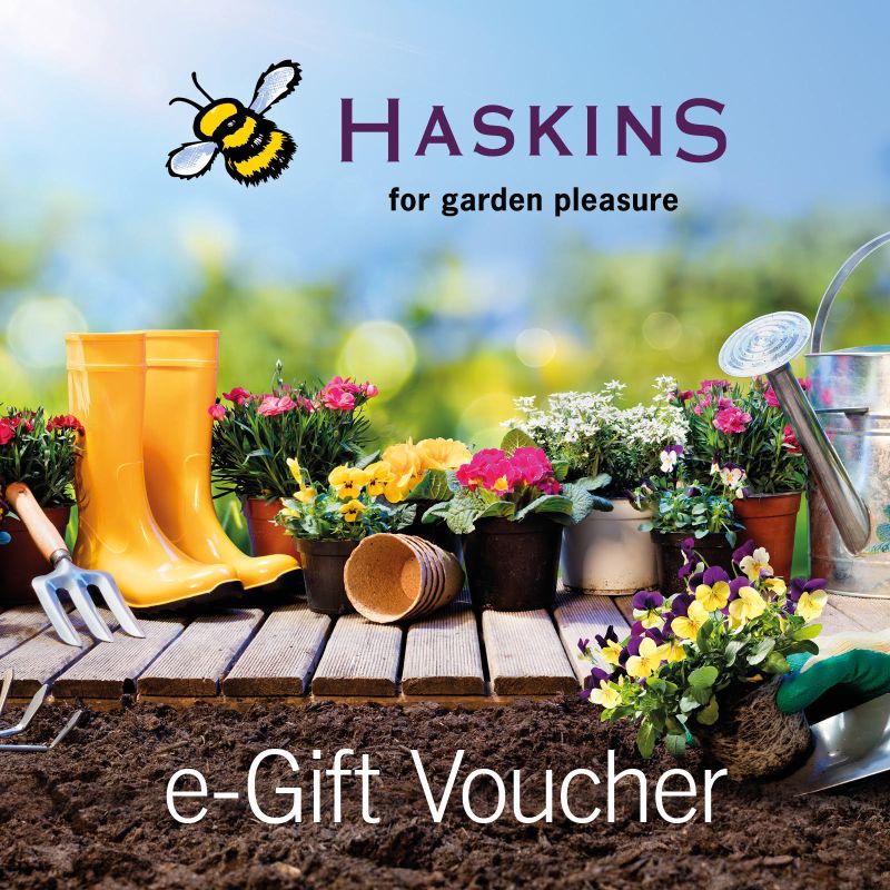 Haskins e-Gift Voucher